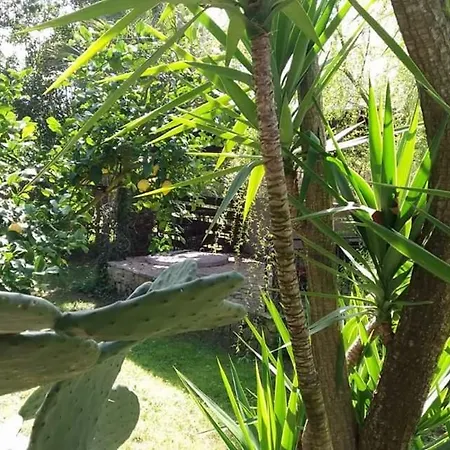 Tierra Madre Bangulow Σπίτι διακοπών